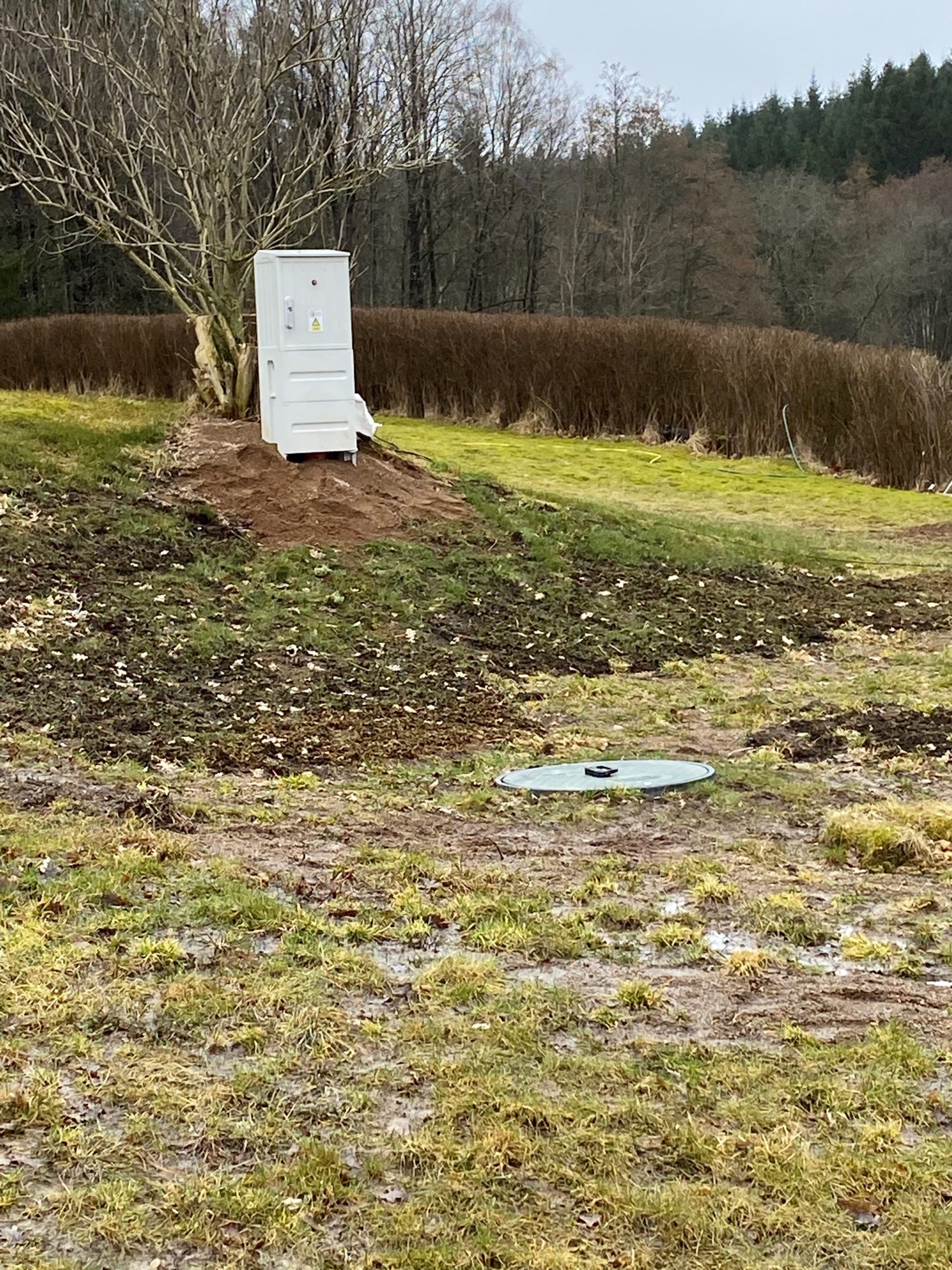 Mälaren 1010-scaled.jpg